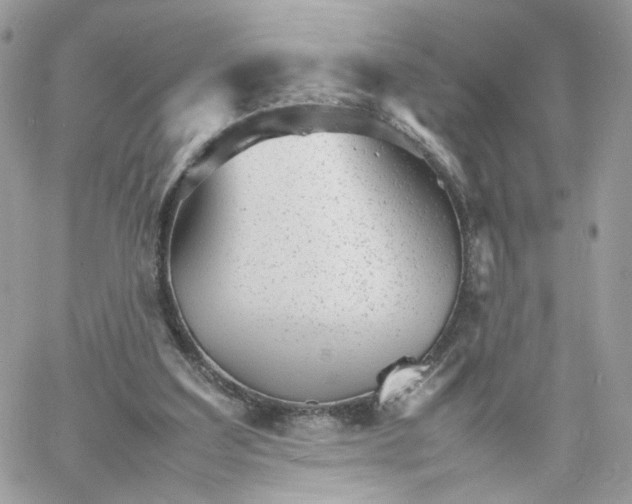 X0000066080203200603241440