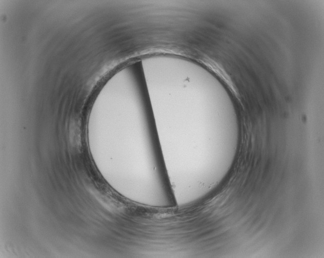 X0000066080204200603241440