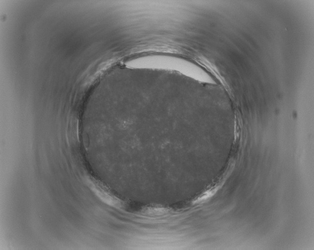 X0000066080205200603241440