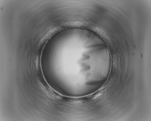 X0000066080206200603241440