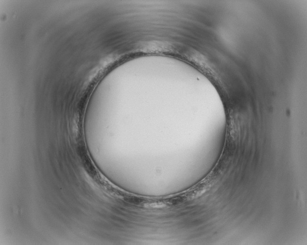 X0000066080208200603241440