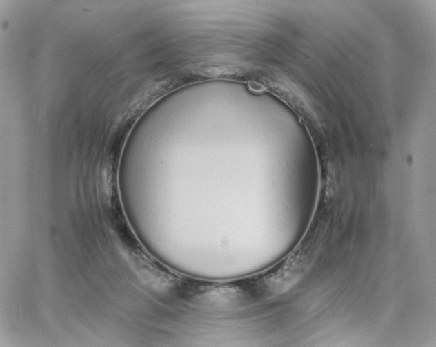 X0000066080210200603241440