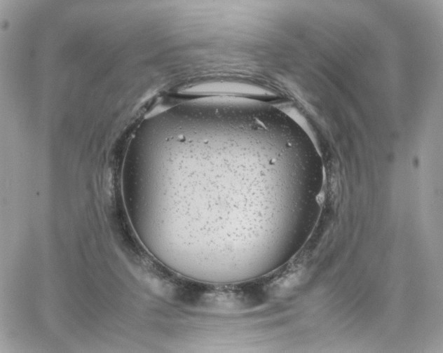 X0000066080211200603241440