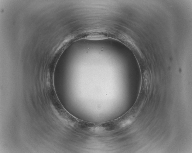 X0000066080212200603241440