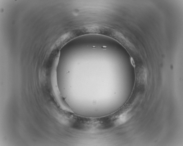 X0000066080213200603241440