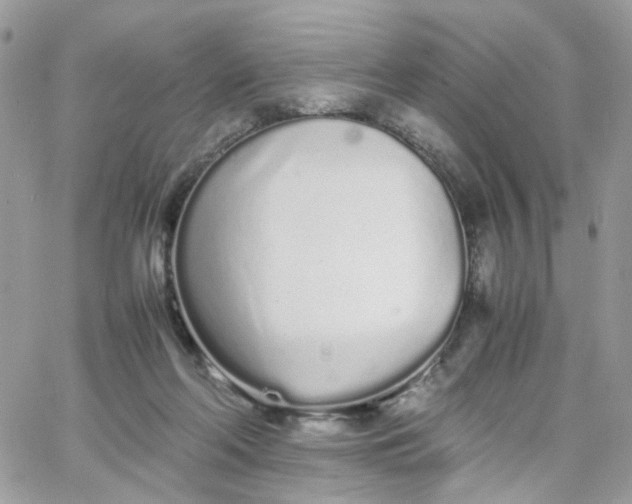 X0000066080214200603241440