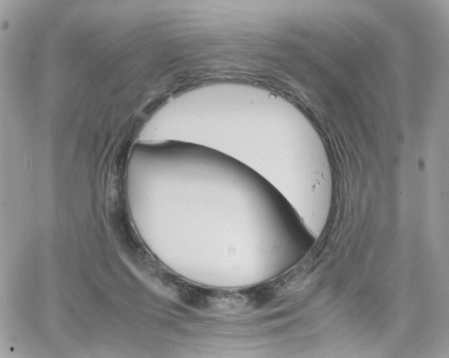 X0000066080215200603241440