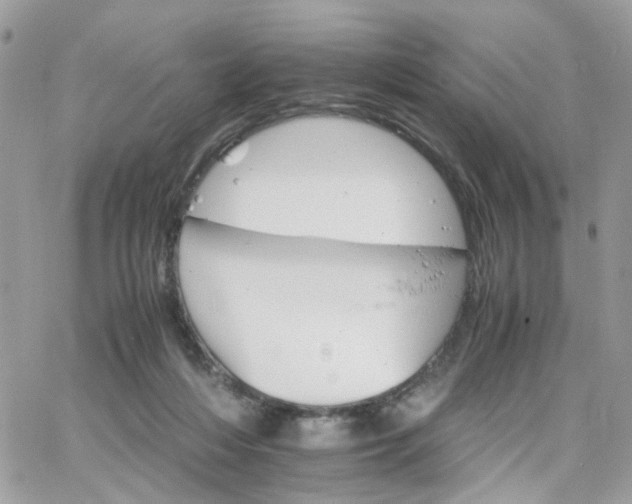 X0000066080216200603241440