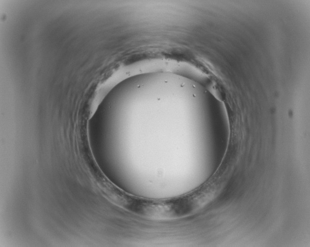 X0000066080217200603241440