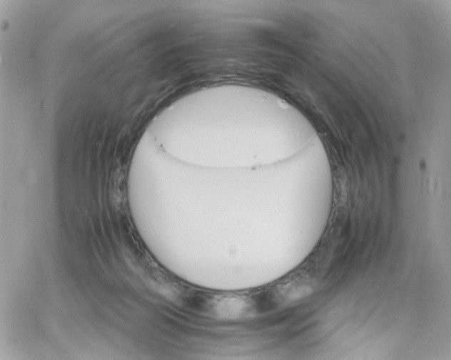 X0000066080218200603241440