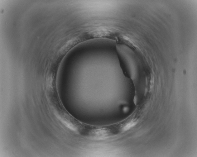 X0000066080219200603241440