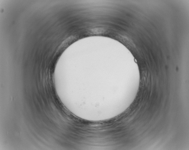 X0000066080220200603241440