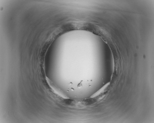 X0000066080221200603241440