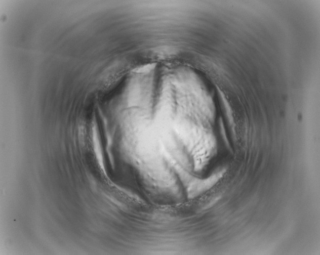 X0000066080222200603241440