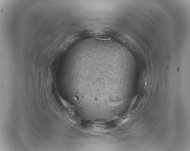 X0000066080223200603241440