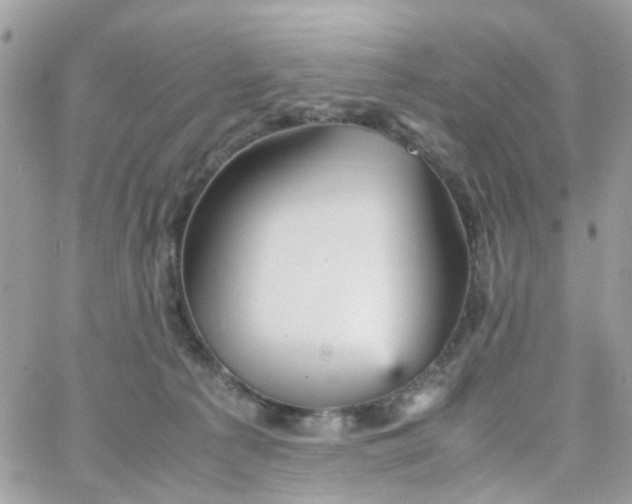 X0000066080225200603241440