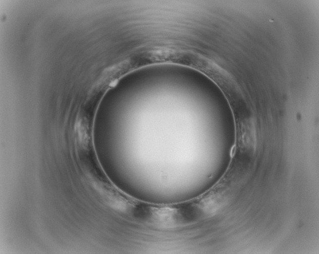 X0000066080226200603241440