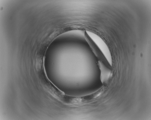 X0000066080227200603241440