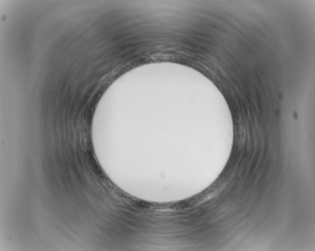 X0000066080228200603241440