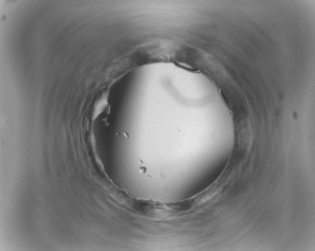 X0000066080229200603241440