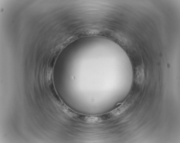 X0000066080230200603241440