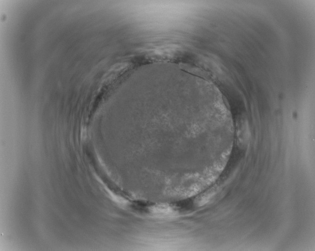 X0000066080231200603241440