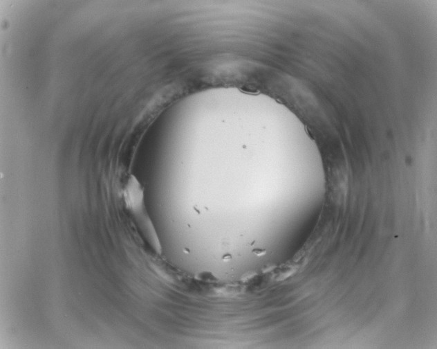 X0000066080232200603241440