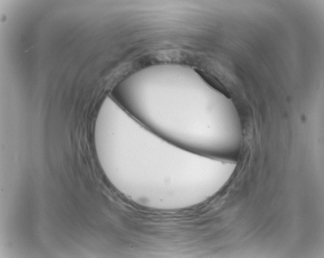 X0000066080233200603241440