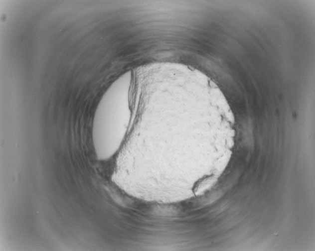 X0000066080234200603241440