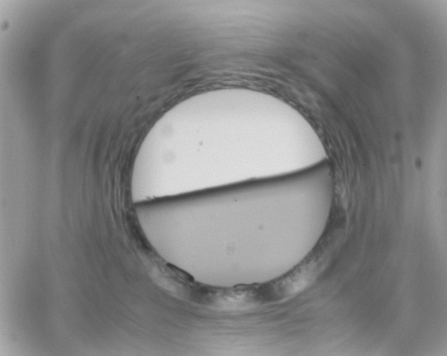 X0000066080235200603241440