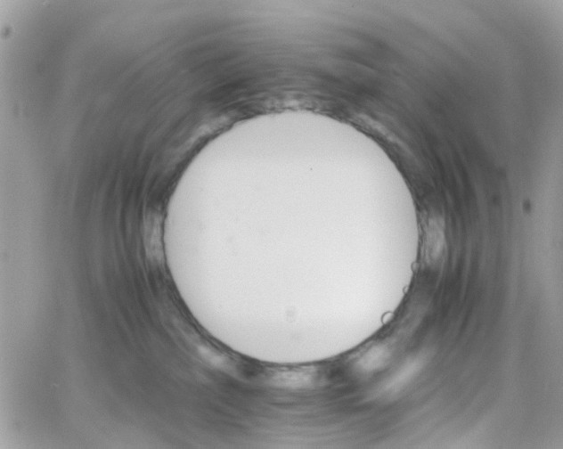 X0000066080236200603241440