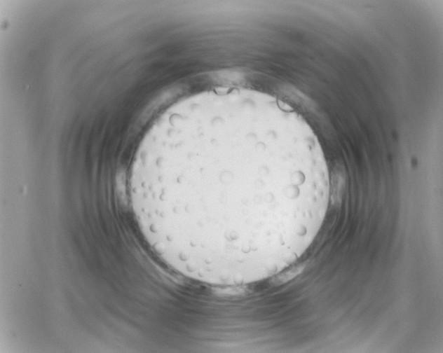 X0000066080238200603241440