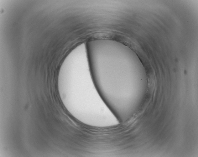 X0000066080239200603241440