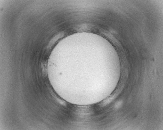 X0000066080240200603241439