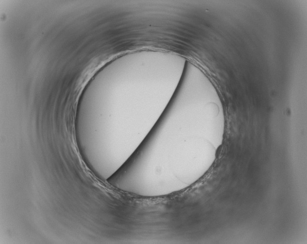 X0000066080241200603241439