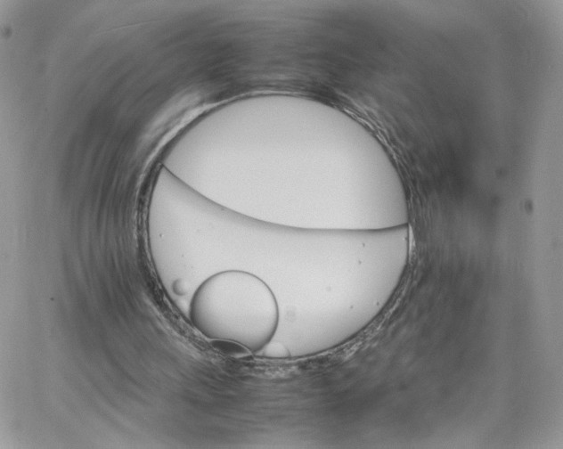 X0000066080243200603241439