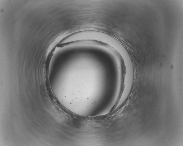 X0000066080244200603241439