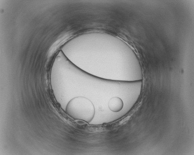 X0000066080245200603241439