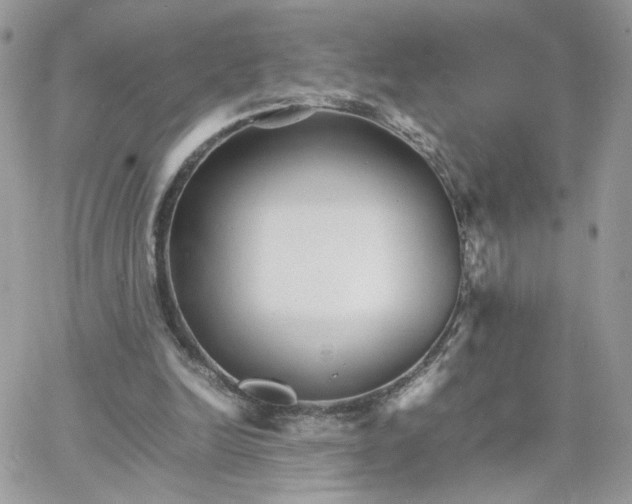 X0000066080246200603241439