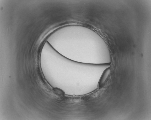 X0000066080247200603241439