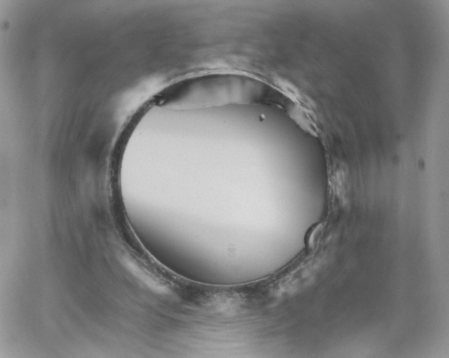 X0000066080248200603241439