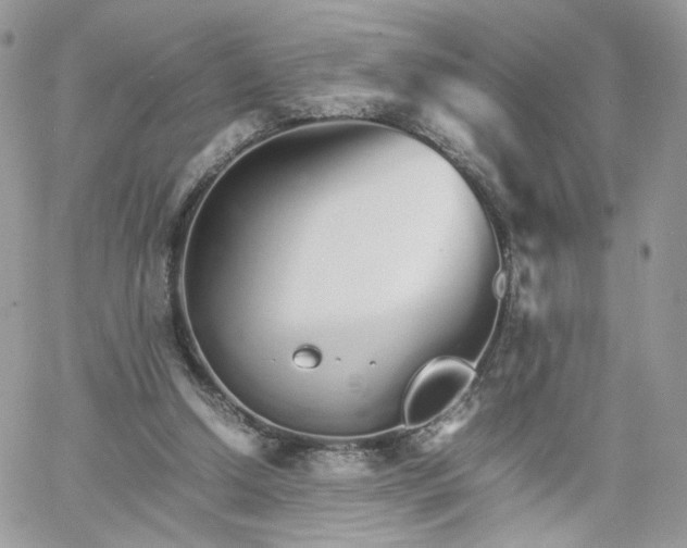 X0000066080250200603241439