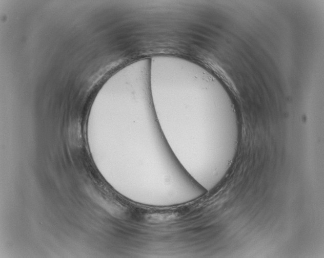 X0000066080251200603241439