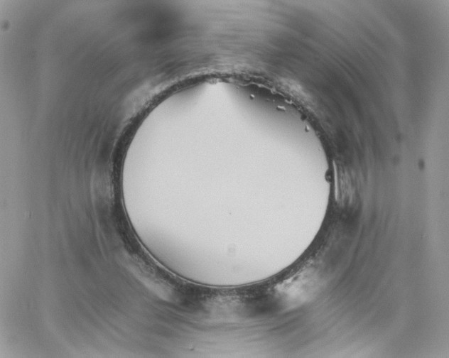 X0000066080252200603241439