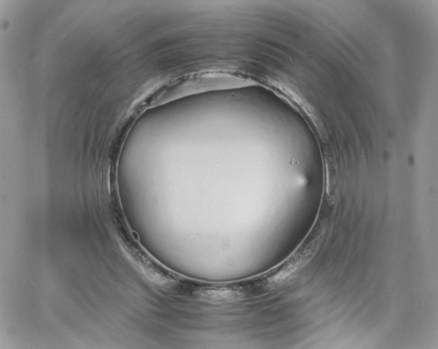 X0000066080253200603241439