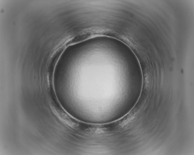 X0000066080254200603241439