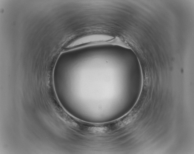 X0000066080255200603241439