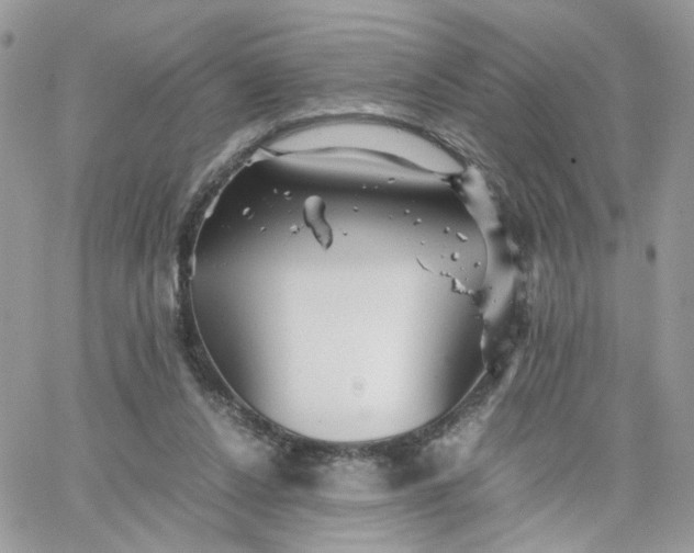 X0000066080256200603241439