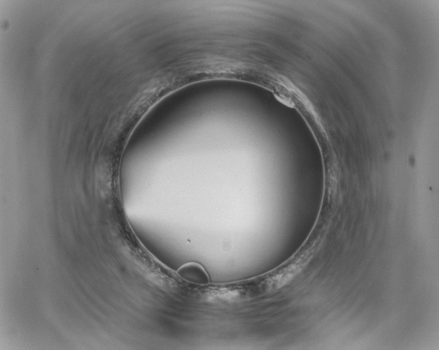 X0000066080257200603241439