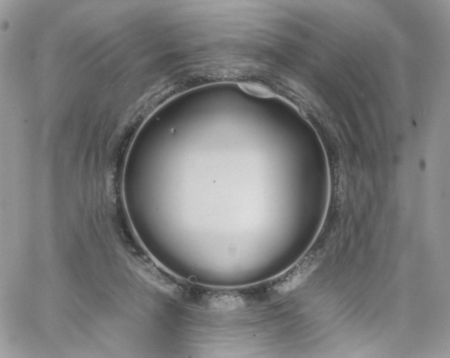 X0000066080258200603241439